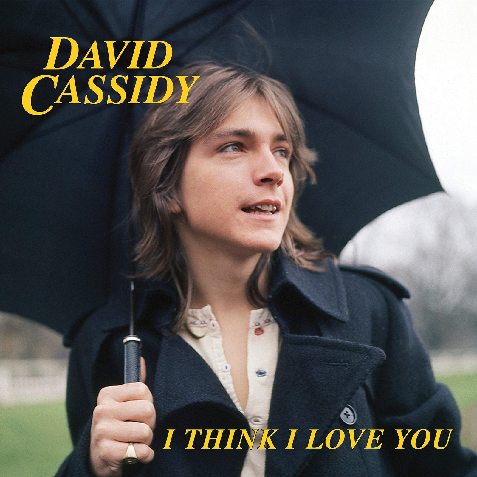 David Cassidy I Think I Love You (Vinyl LP)