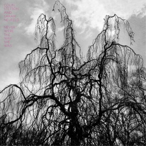 Colin Stetson and Sarah Neufeld Never Were the Way She Was (CD) Album