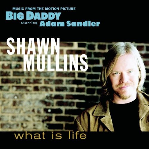 Shawn Mullins What is life ('Big daddy') (CD)
