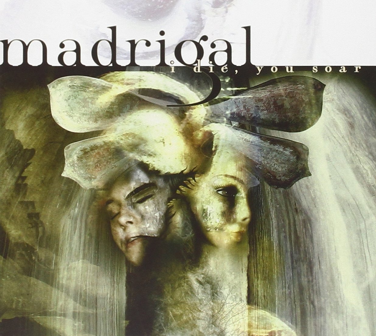 Madrigal I Die You Soar (CD)