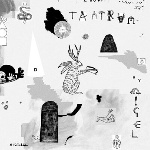 Nigel Tantrum (Vinyl LP) 12" Album