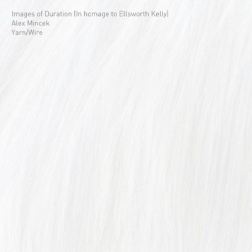 Alex Mincek Images of Duration (In Hommage to Ellsworth Kelly) (CD) Album