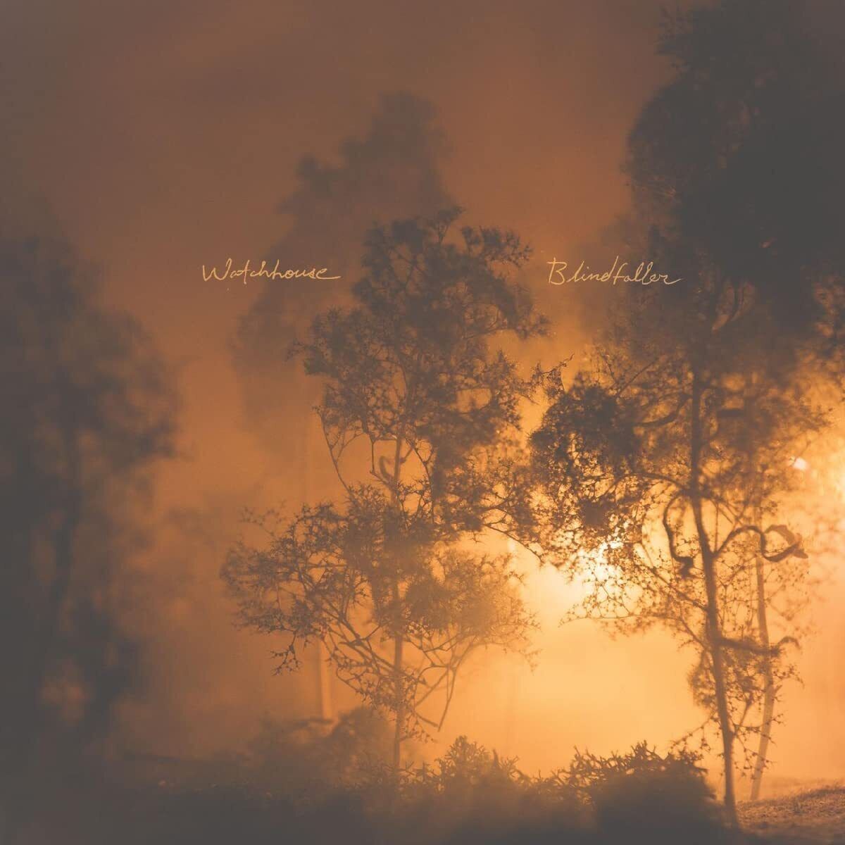 Watchhouse Blindfaller (CD) Album