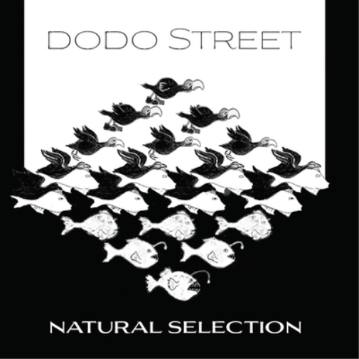 Dodo Street Natural Selection (CD) Album