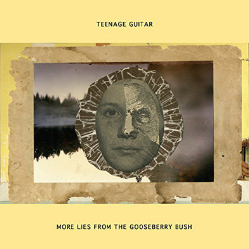 Teenage Guitar More Lies from the Gooseberry Bush (Vinyl LP) 12" Album