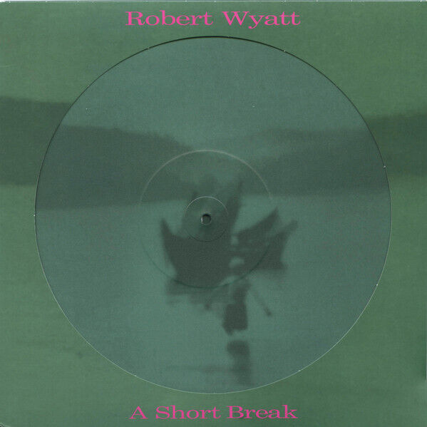 A Short Break ( picture disc )