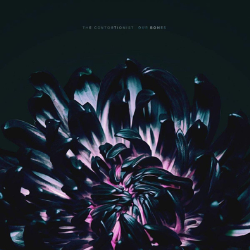 The Contortionist Our Bones (Vinyl LP) 12" Album