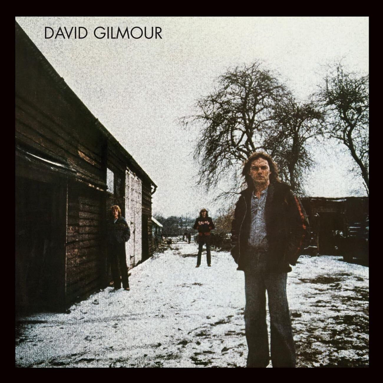 David Gilmour  - David Gilmour - Cd