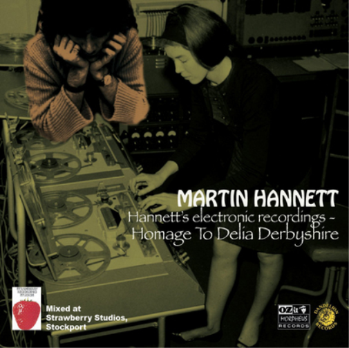 Martin Hannett Homage to Delia Derbyshire: Hannett's Electronic Recor (Vinyl LP)