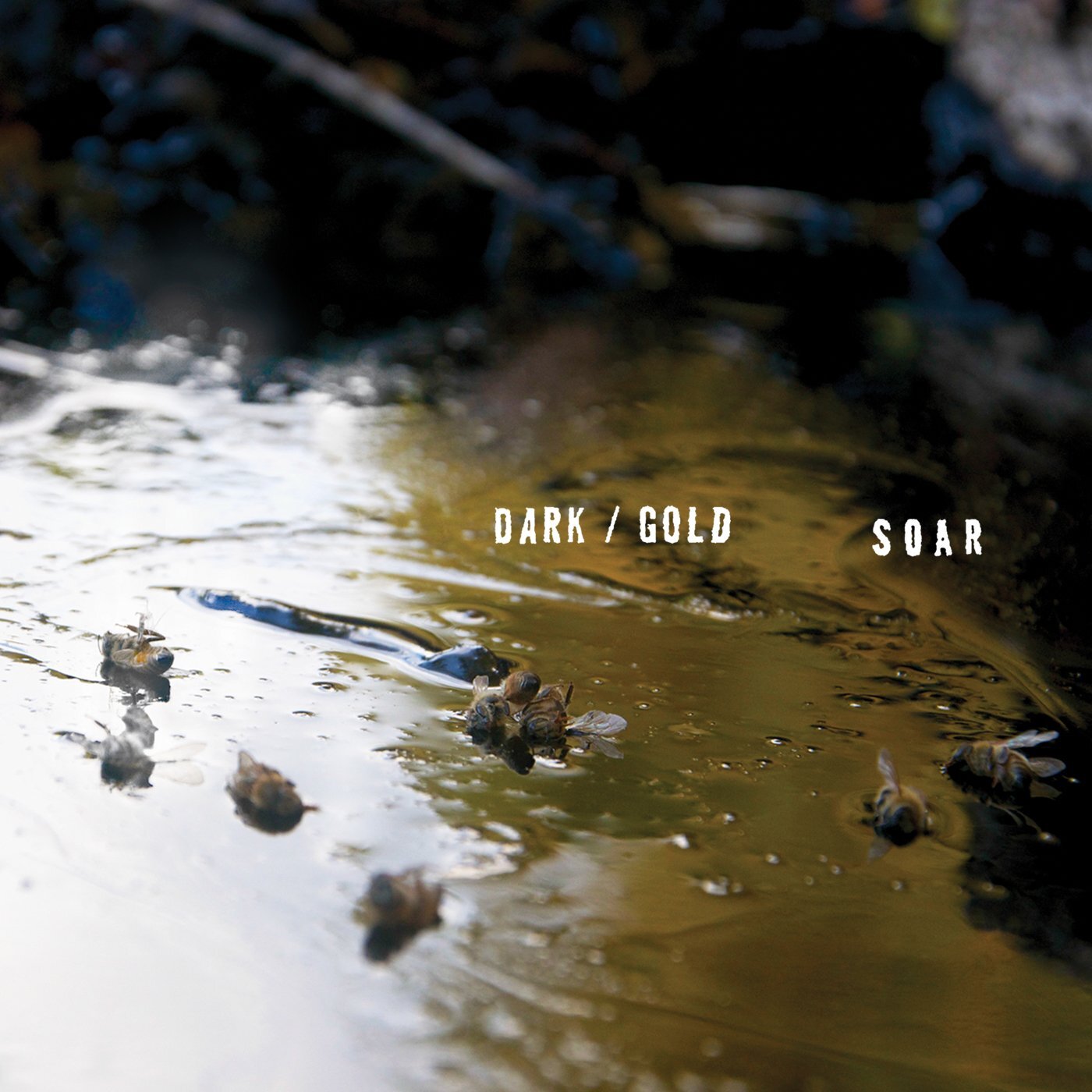 Soar Dark / Gold (Cassette)