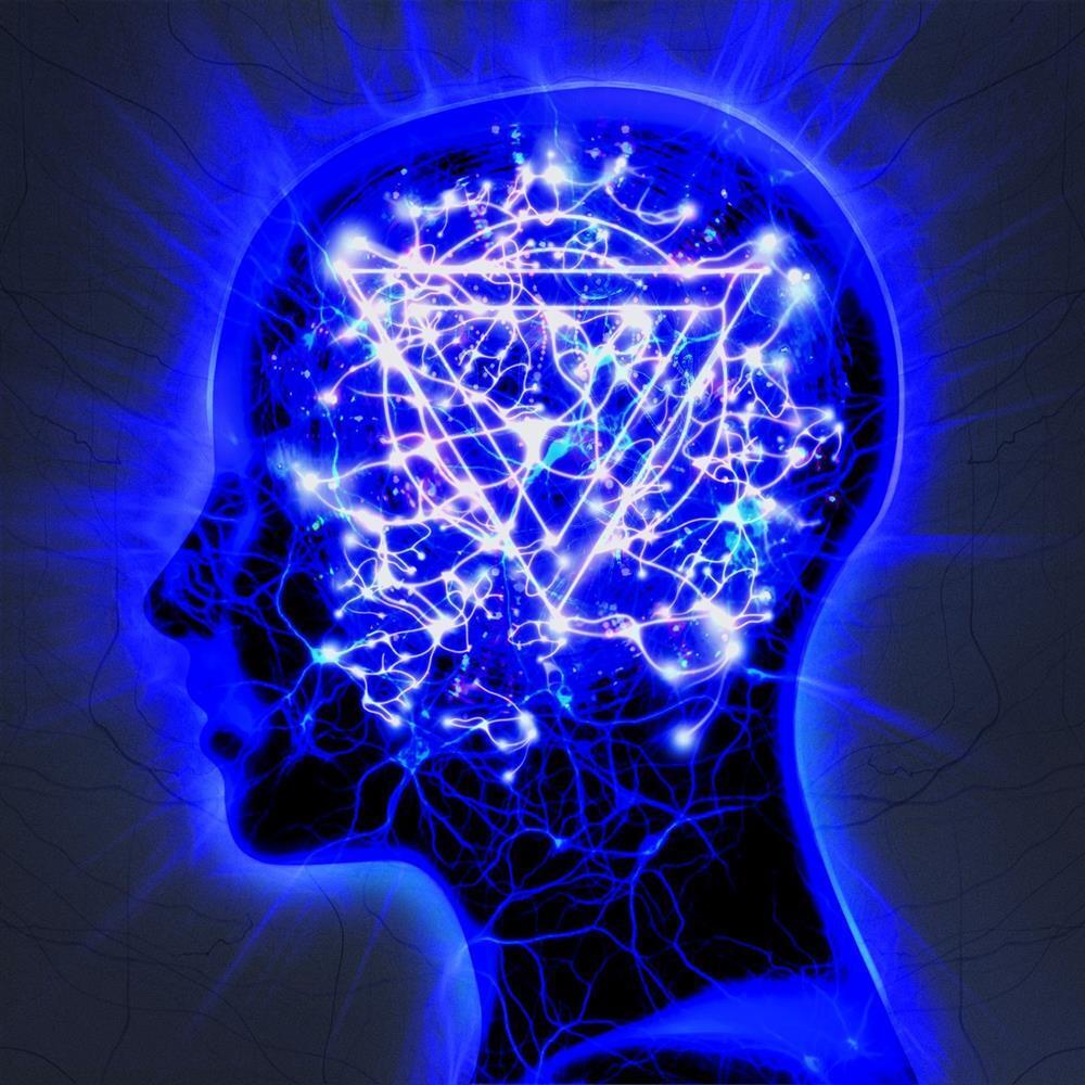 The Mindsweep - Enter Shikari (Audio CD)