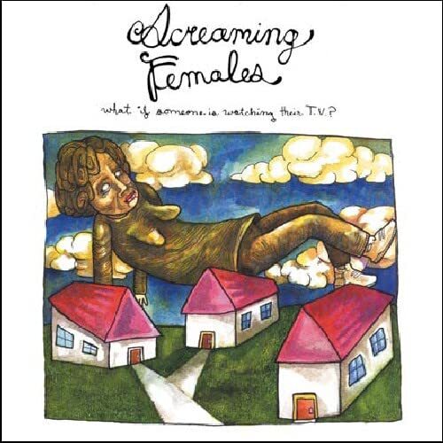 Screaming Females What If Someone Is Watching Their TV? (CD)