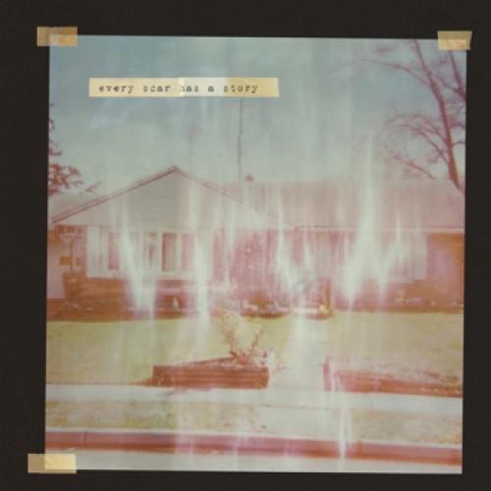 Every Scar Has A Story (10") - Every Scar Has A Story (Vinile)