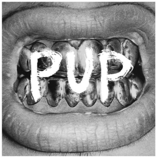 PUP Pup (Vinyl LP) 12" Album