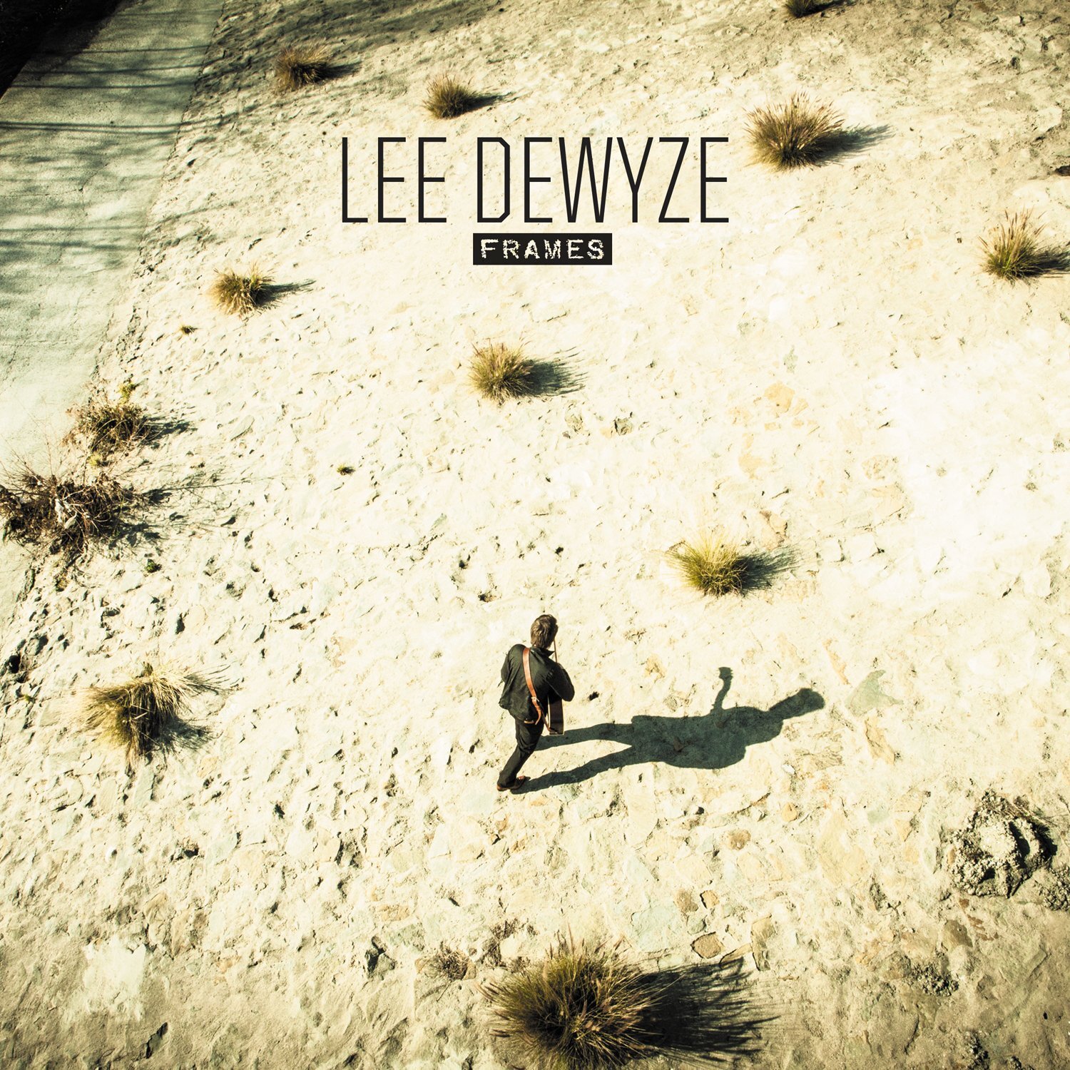 Lee DeWyze Frames (Vinyl LP)
