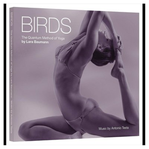 Lara Baumann Birds (CD) Album