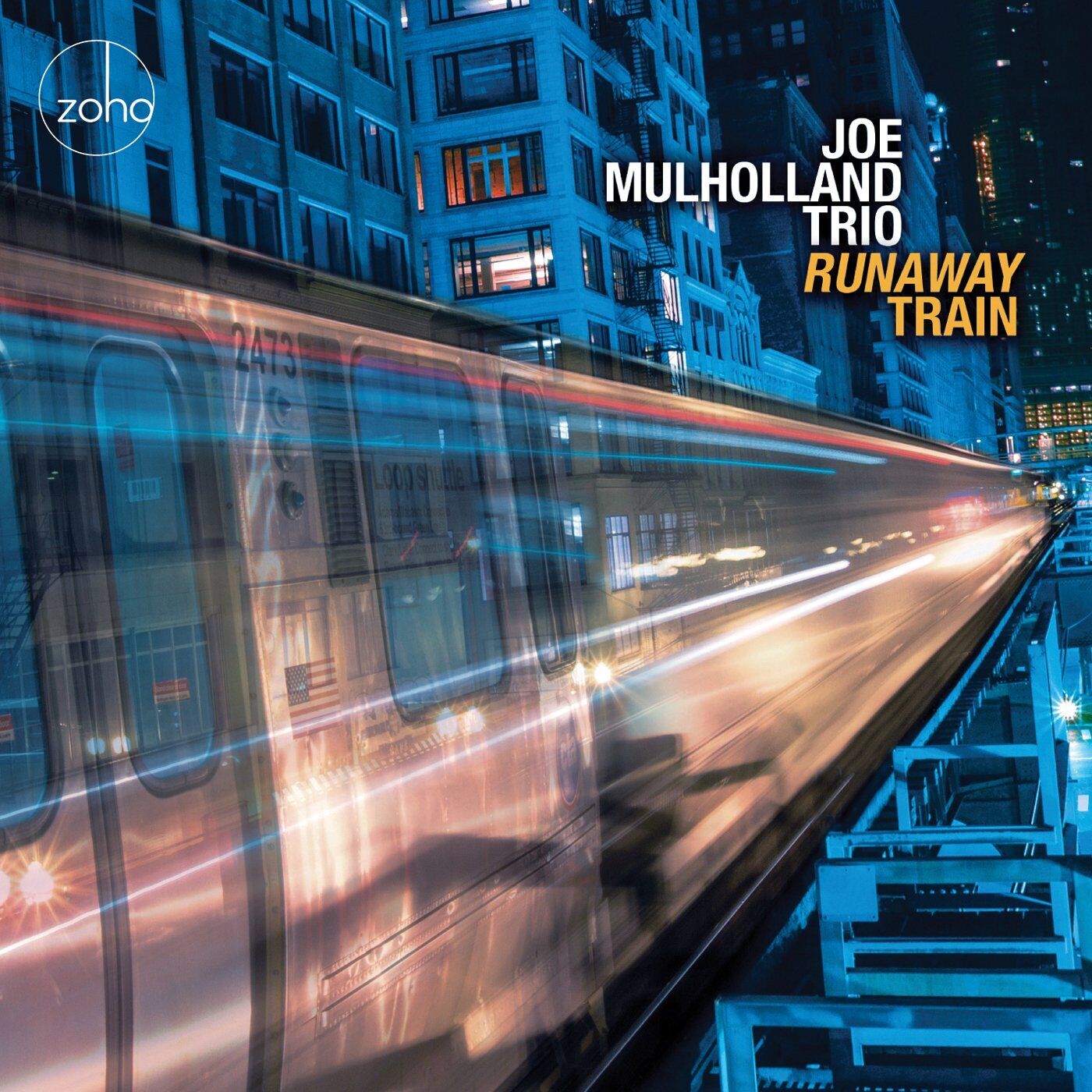 JOE MULHOLLAND TRIO Runaway Train (CD)