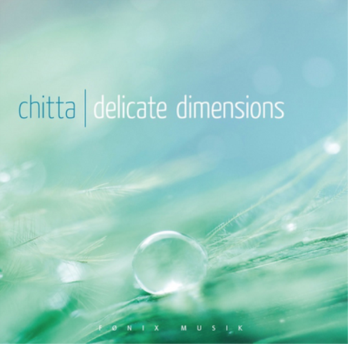 Chitta Delicate Dimensions (CD) Album