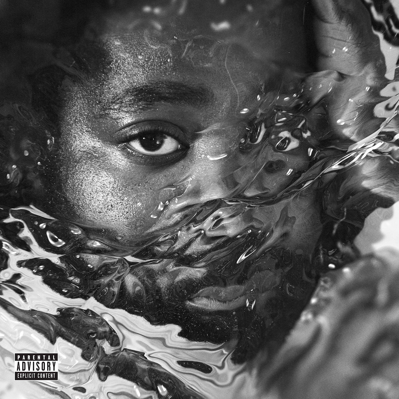 R.LUM.R Surfacing (CD)