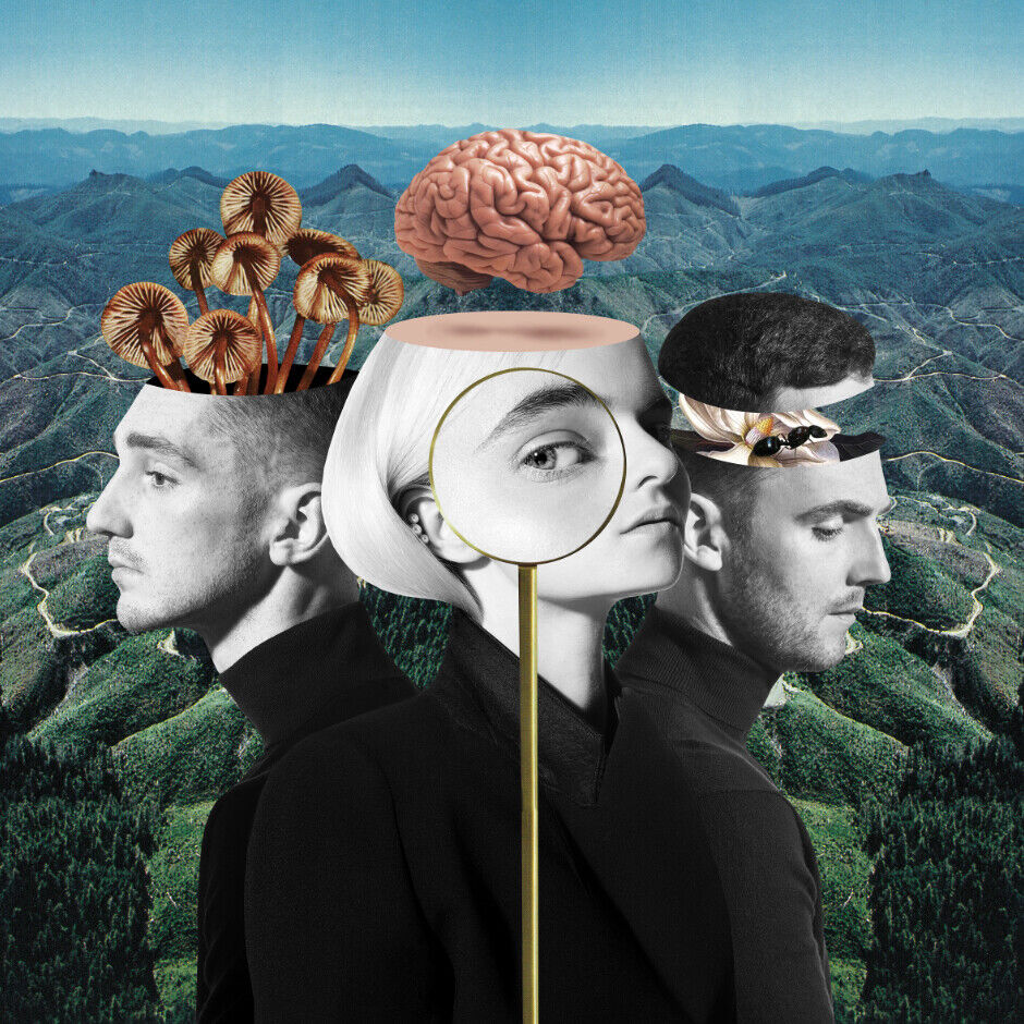 Clean Bandit What Is Love? (CD) Album
