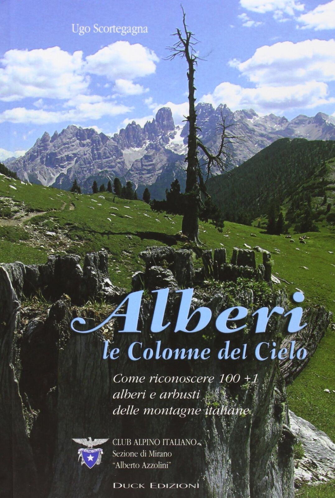 Alberi: le colonne del cielo. Come riconoscere 100 + 1 alberi e arbusti de...