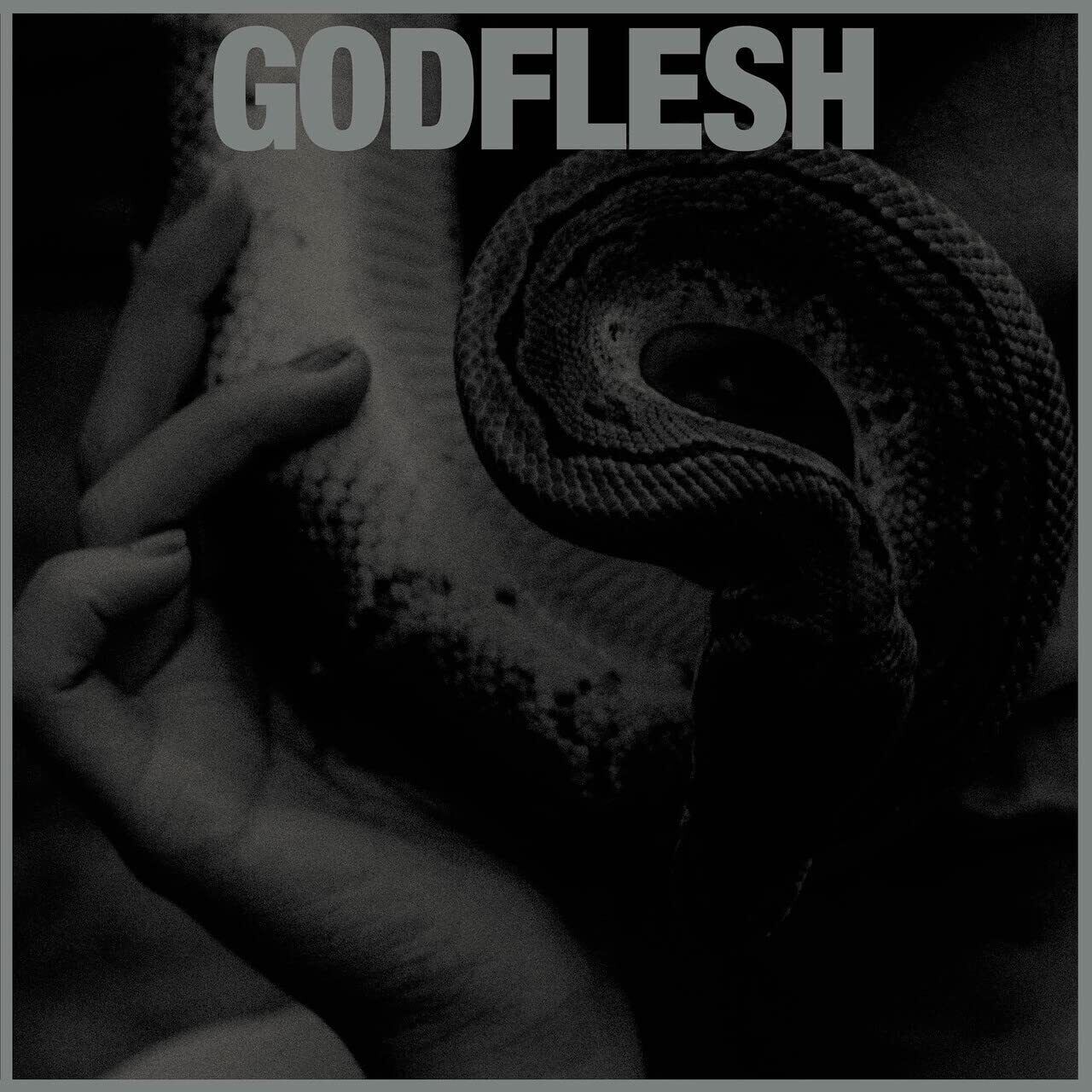 Godflesh Purge (Vinyl LP)