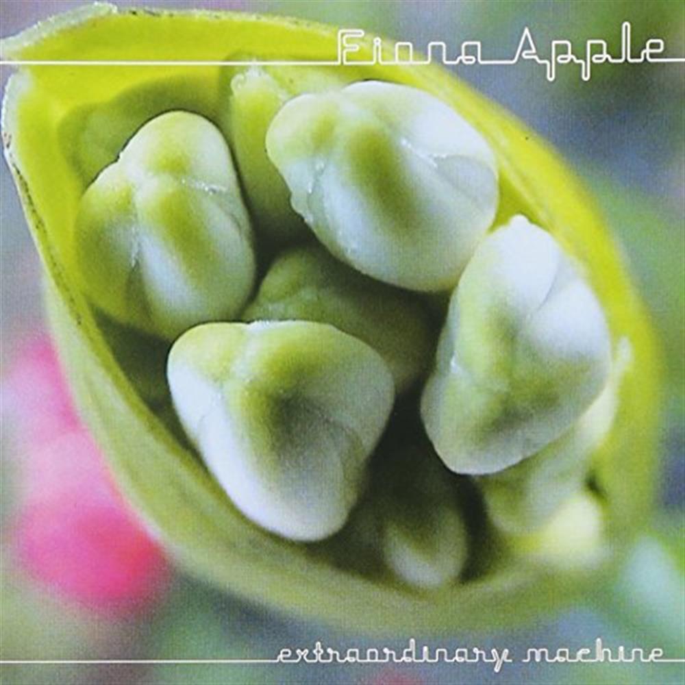 Extraordinary Machine - Fiona Apple (Audio Cd)