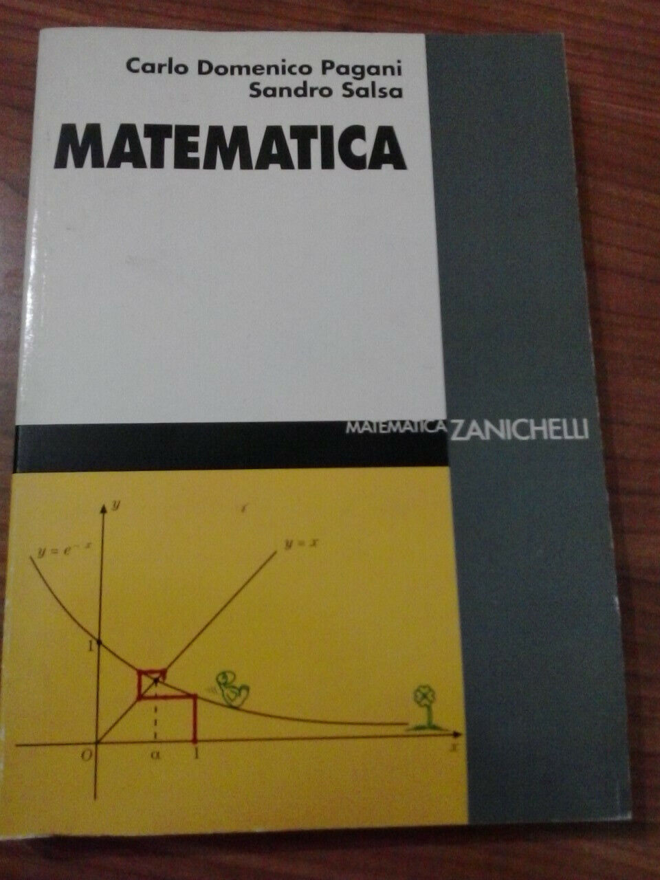 Matematica / Pagani-Salsa / Zanichelli
