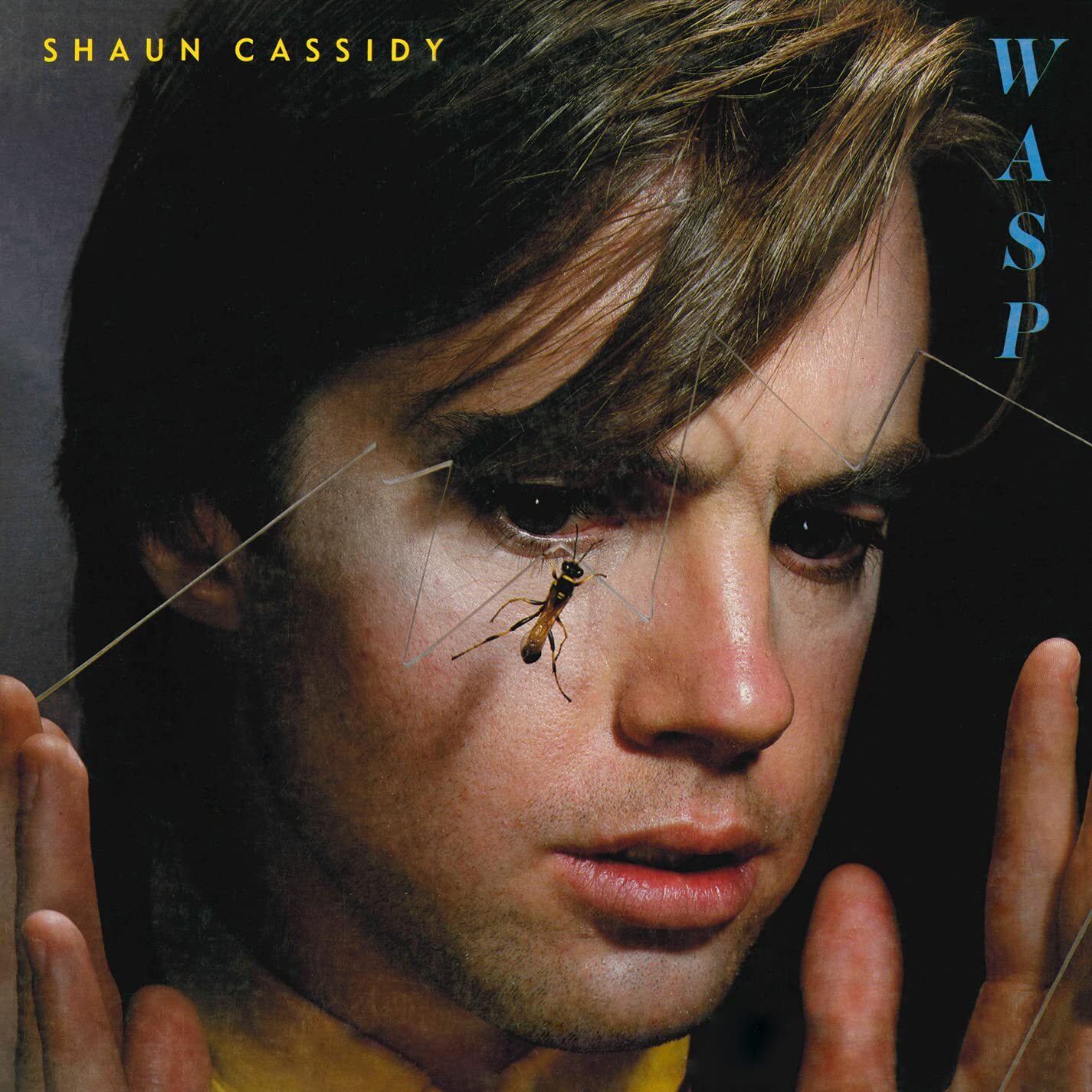 Shaun Cassidy Wasp Rsd (Vinyl LP)