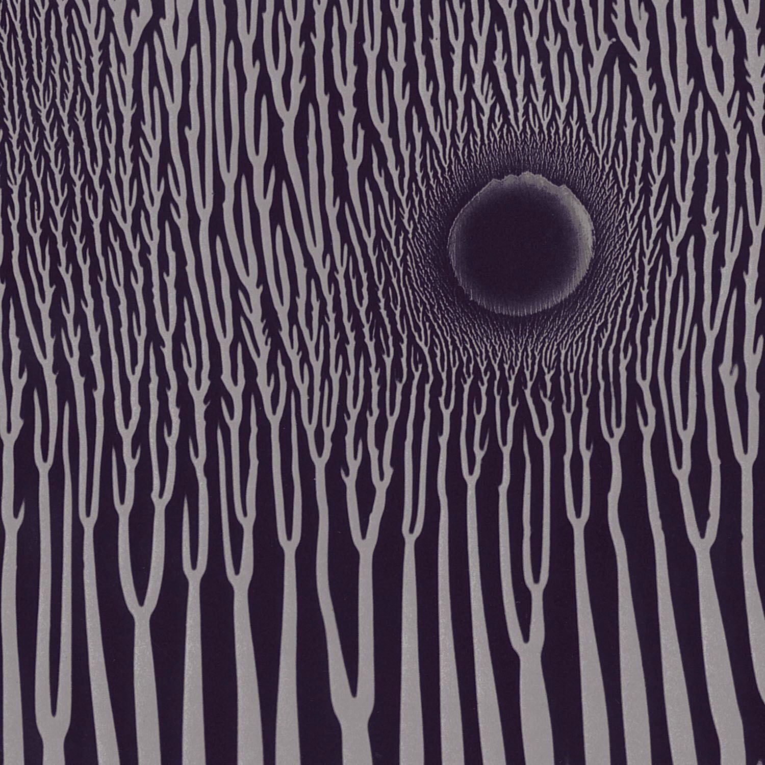 Sunn O))) The Grimmrobe Demos (CD) Album
