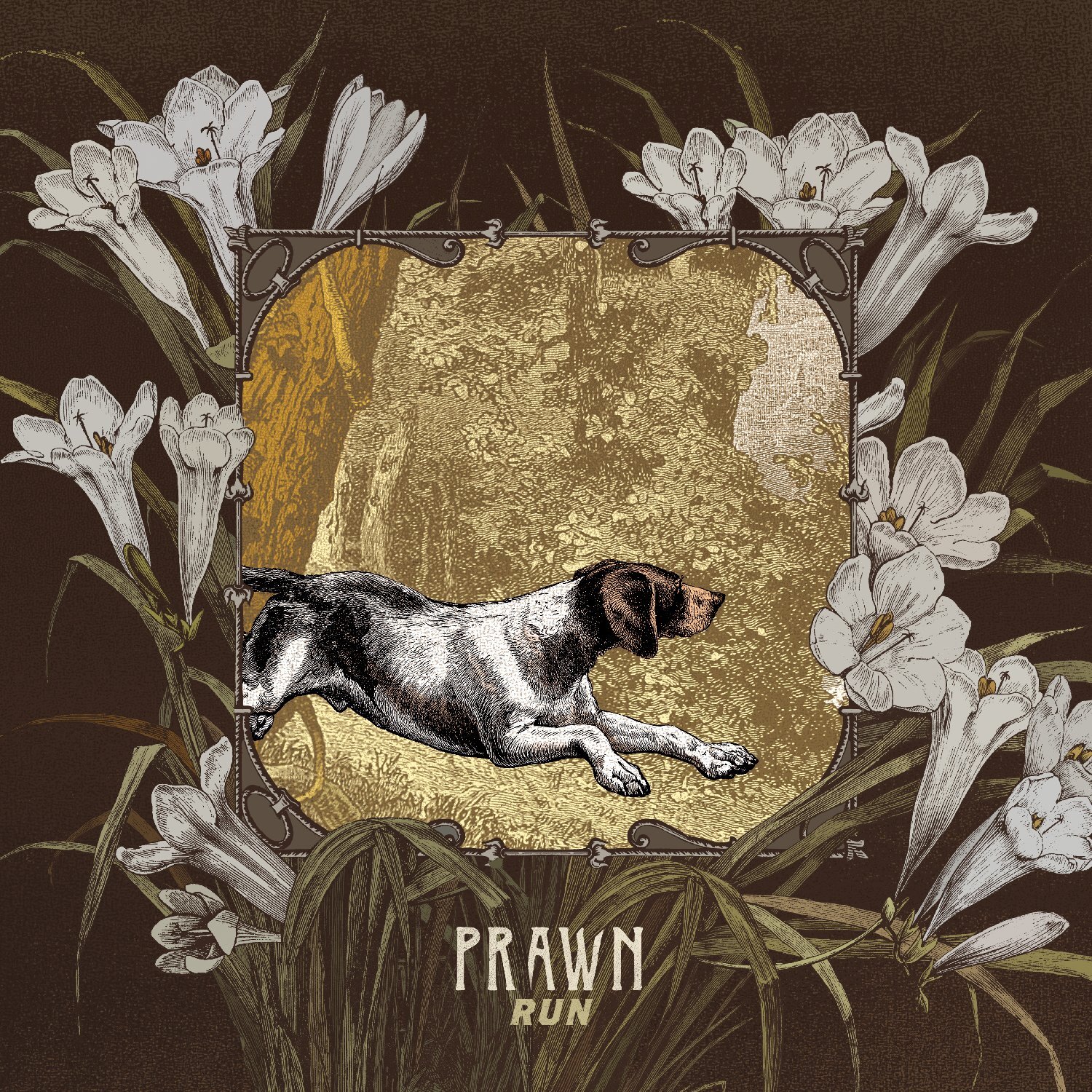 PRAWN Run (Cassette)