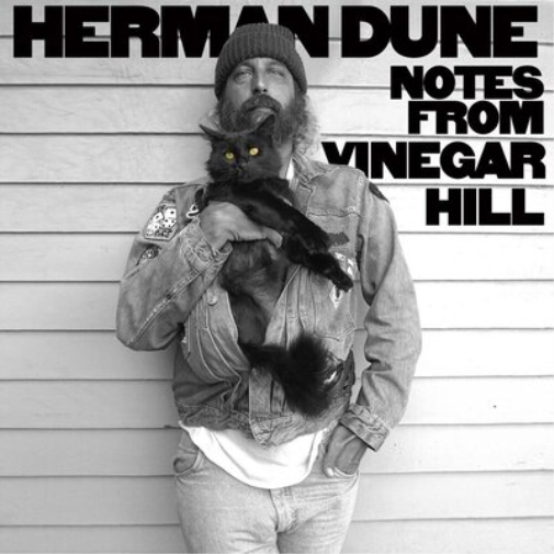 Herman Dune Notes from Vinegar Hill (Vinyl LP) 12" Album
