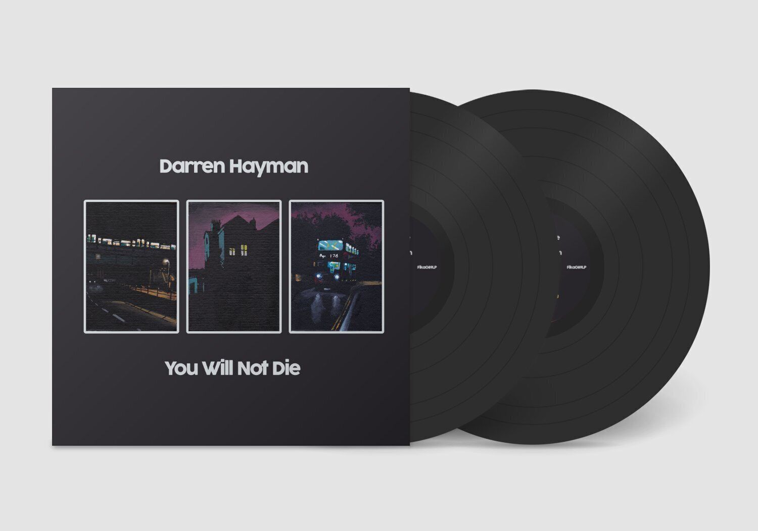 Darren Hayman You Will Not Die (Vinyl LP) 12" Album