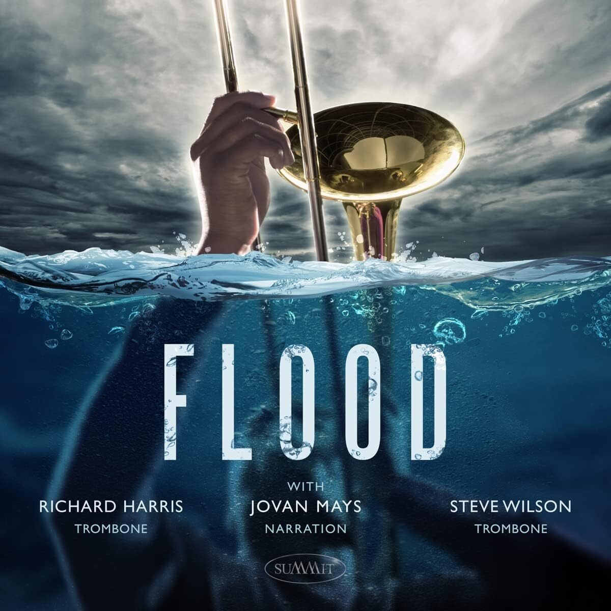 Steve Wilson Flood (CD) Album