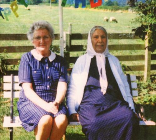 Dauwd Theory of Colours (CD) Album