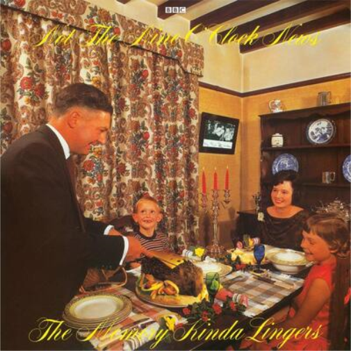 Not The Nine Oclock  Not the Nine O'Clock News - The Memory Kinda Lin (Vinyl LP)