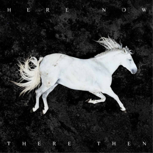 DOOL Here Now, There Then (Vinyl LP) 12" Album