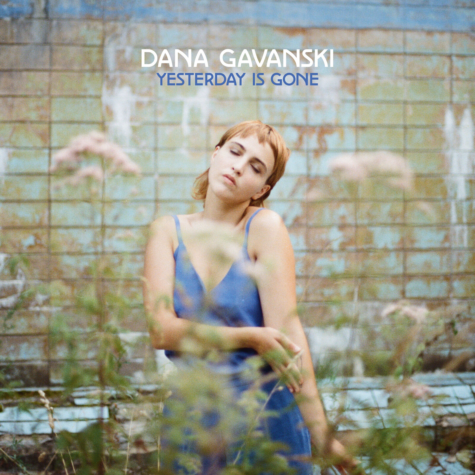 Dana Gavanski Yesterday Is Gone (Vinyl LP) 12" Album