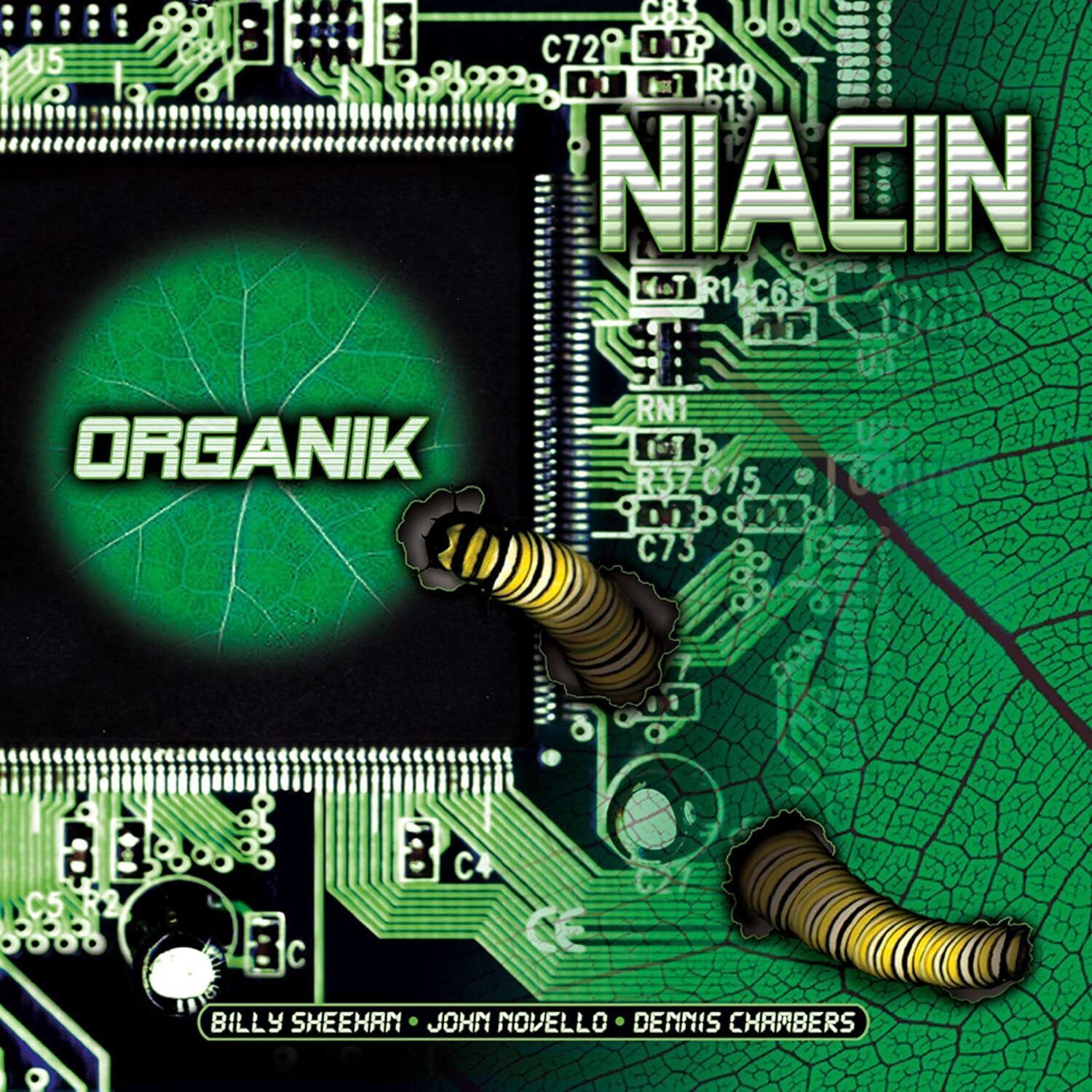 Niacin - Organik - Cd