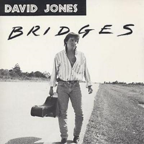 David Jones Bridges (CD) Album