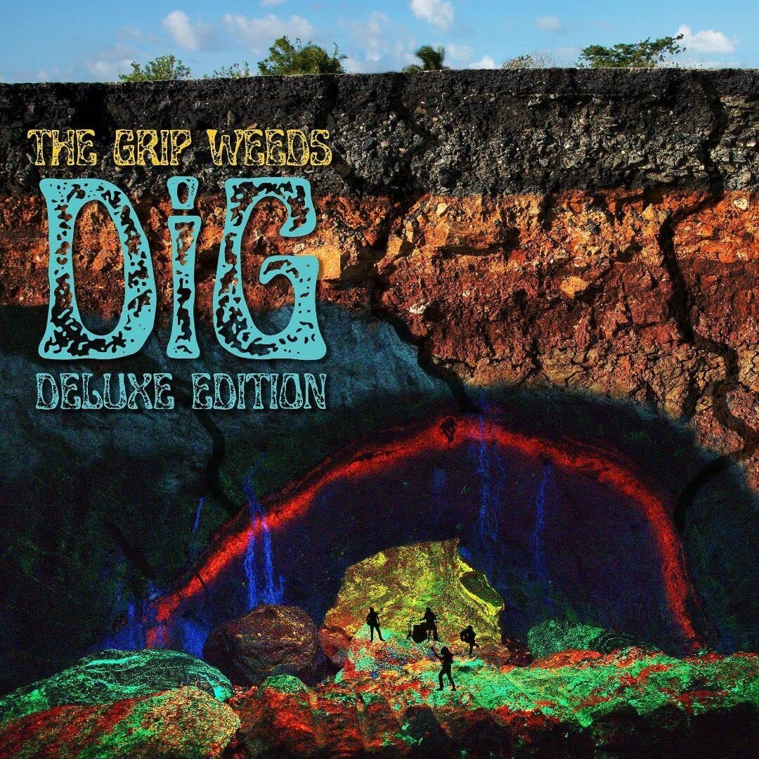 The Grip Weeds DiG (Vinyl LP)