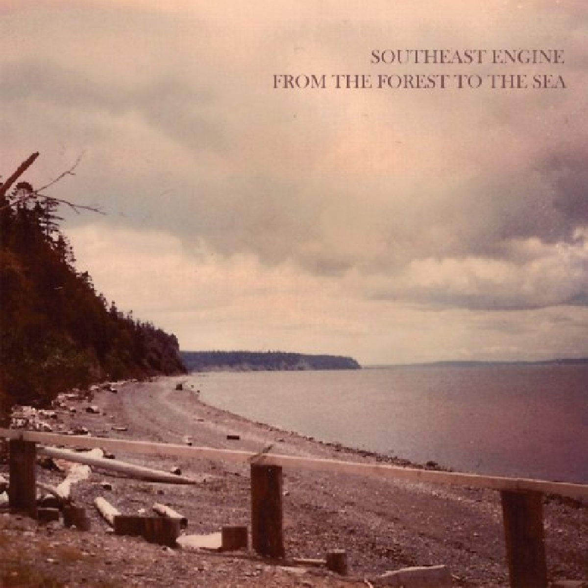 Southeast Engine From The Forest To The Sea (Vinyl LP)