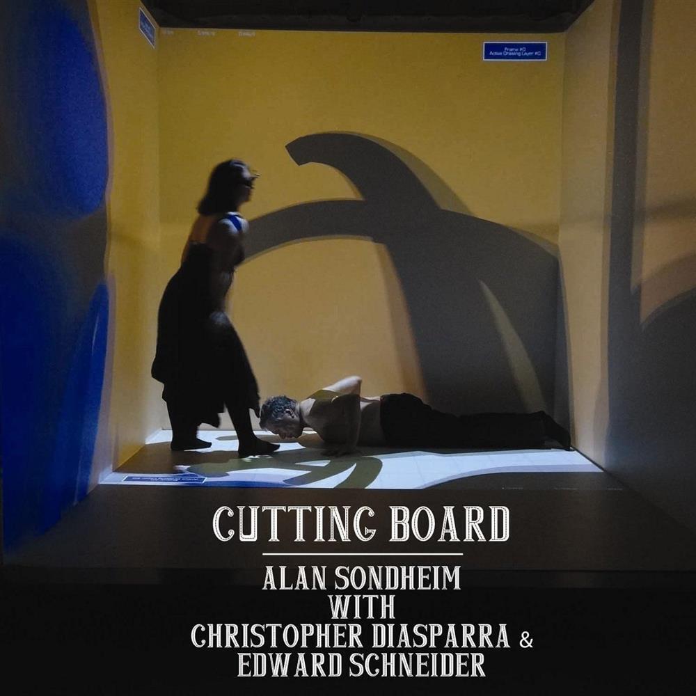 Cutting Board - Alan Sondheim (Audio cd)