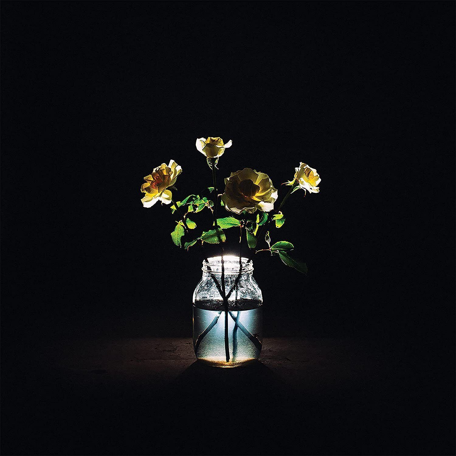Billy Strings Renewal (CD) Album