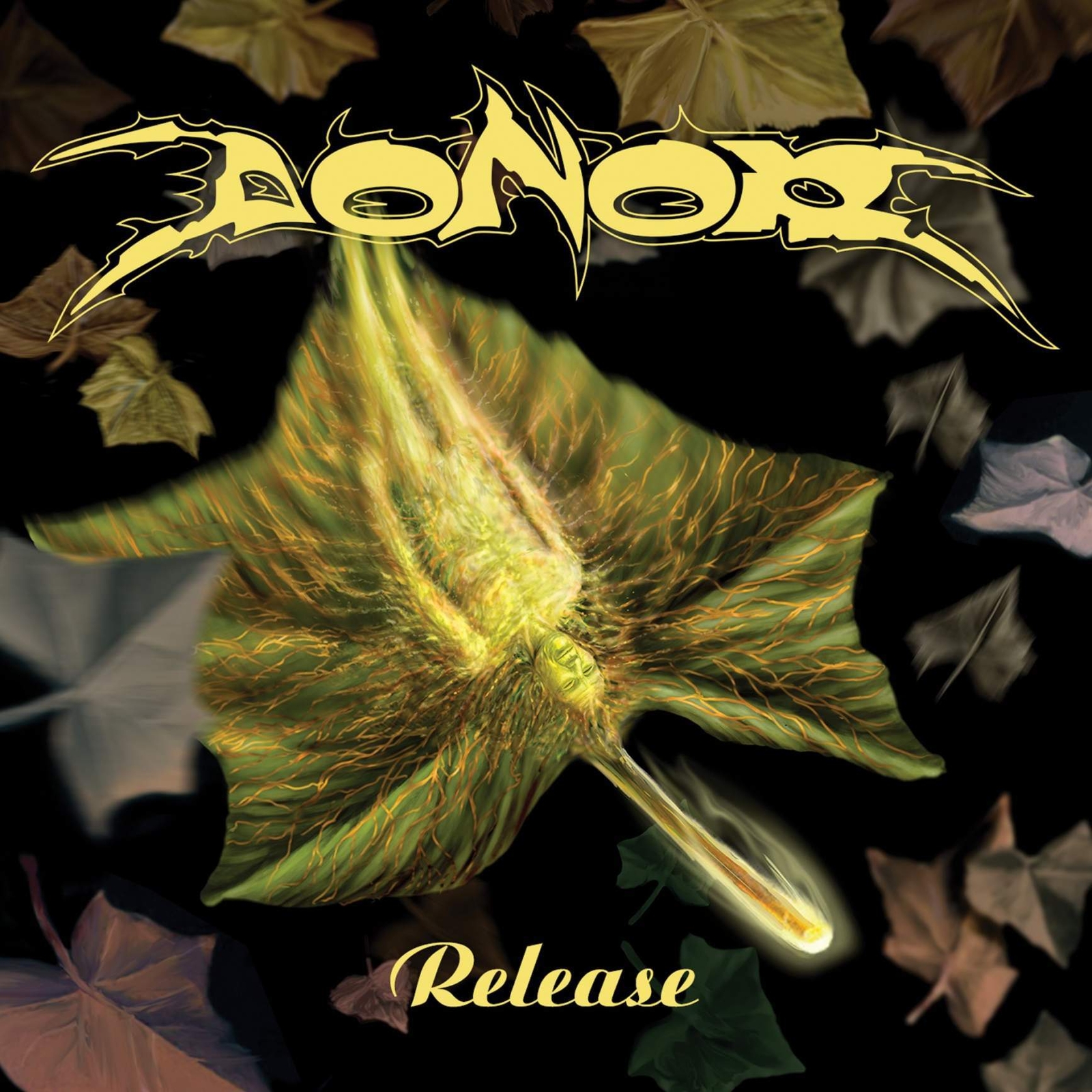 Donor Release (CD) Deluxe  Album (PRESALE 07/06/2024)
