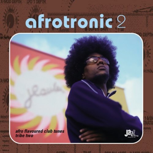 Afrotonic 2 - Afro Flavoured Club Tunes (CD) Album