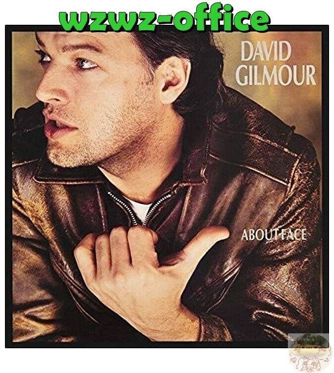 2020 DAVID GILMOUR Informazioni su Face PINK FLOYD GIAPPONE MINI CD LP