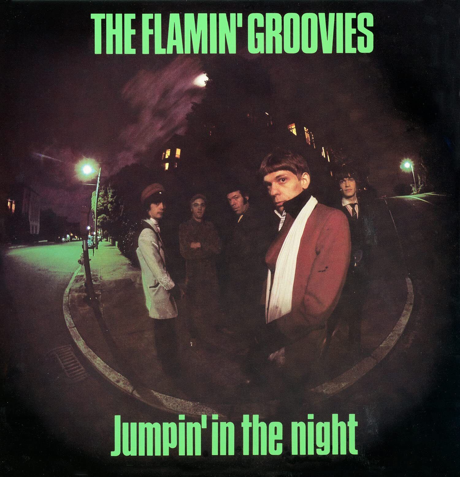 Flamin' Groovies Jumpin' In The Night (CD)
