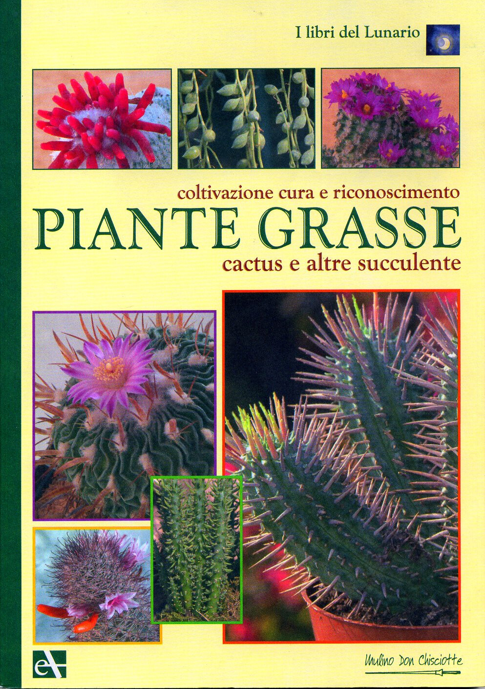 Piante grasse - [Mulino Don Chisciotte]