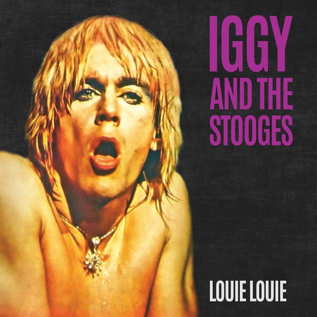 Iggy and the Stooges Louie Louie (Vinyl LP) 7" Single Coloured Vinyl